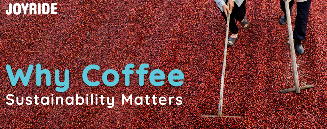 Educate Yourself on Why Coffee Sustainability Matters